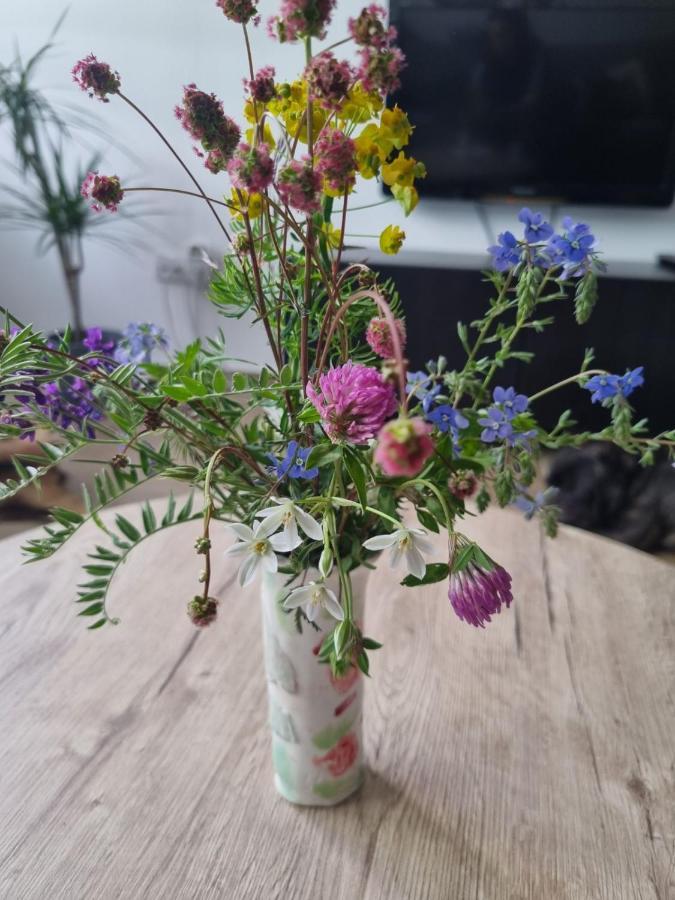 Apartman Nana Divčibare Esterno foto