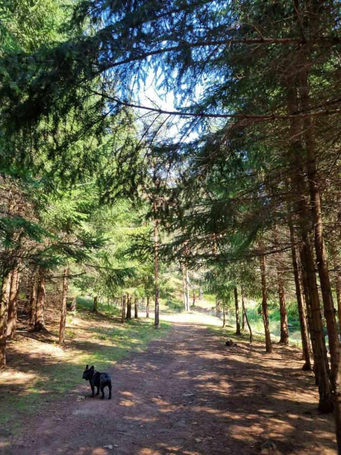 Apartman Nana Divčibare Esterno foto